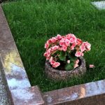 Processed with MOLDIV